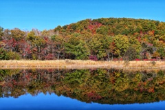 観音沼森林公園 観音沼森林公園