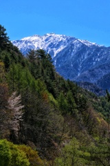 仙丈ヶ岳