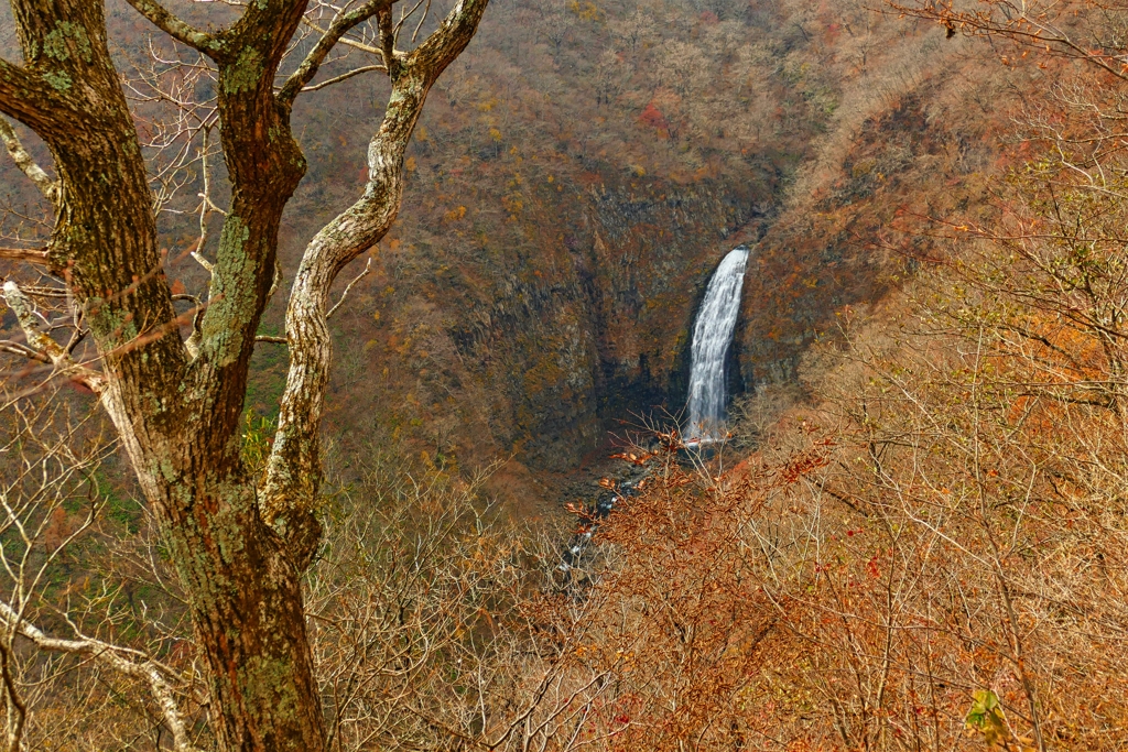 晩秋の不動滝