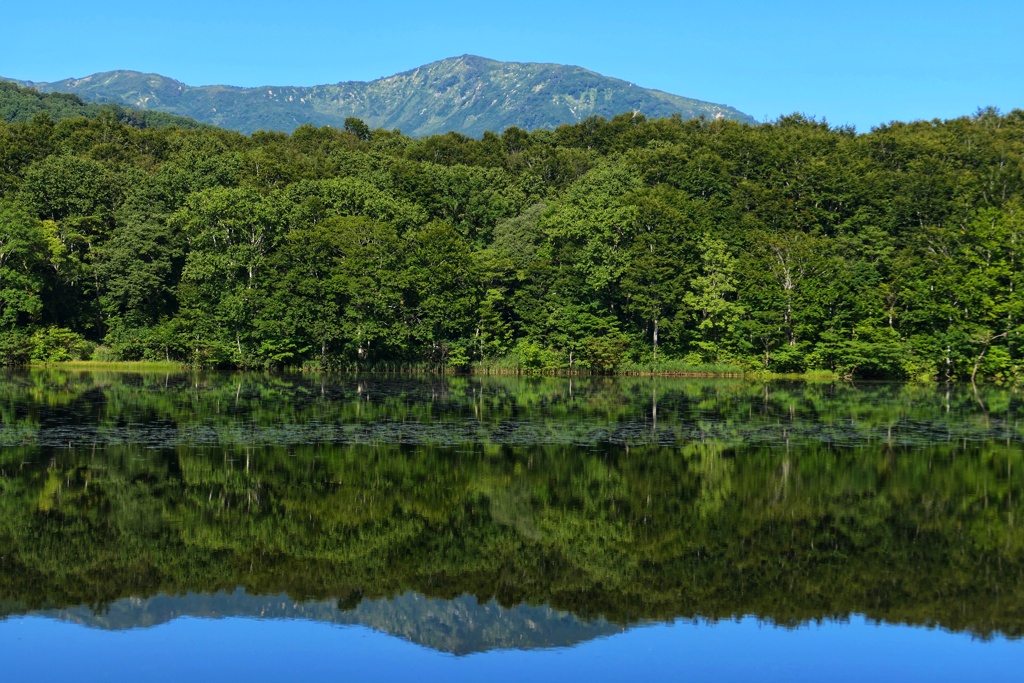 リフレクション