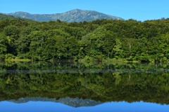 リフレクション