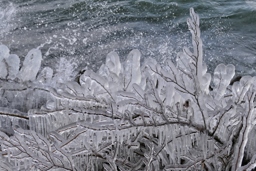 しぶき氷