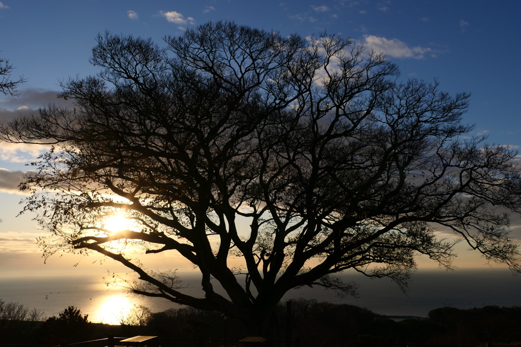 朝日に向かって