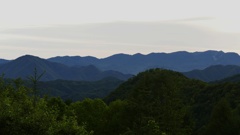 朝景
