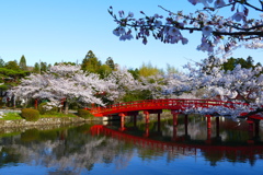 涼ヶ岡八幡神社 その１
