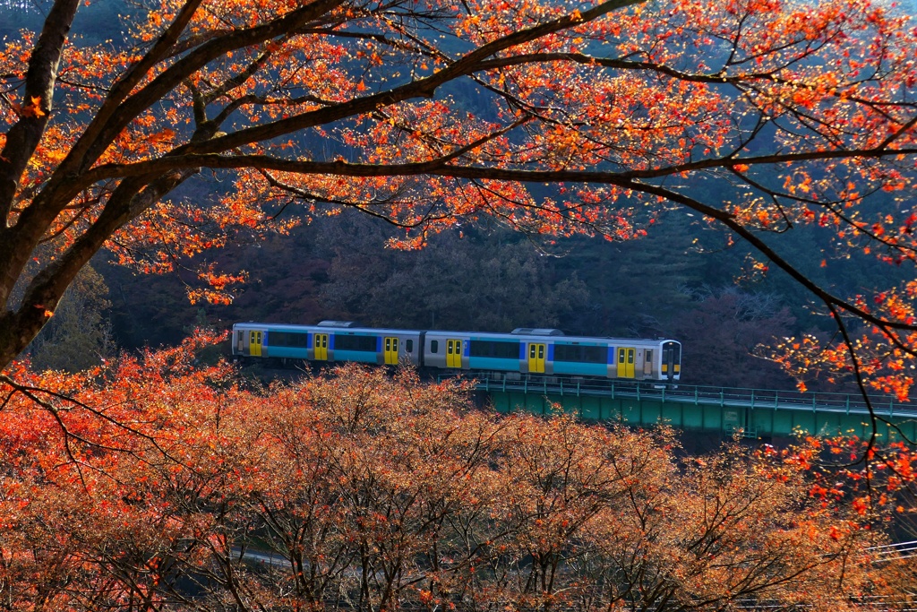 秋の水郡線
