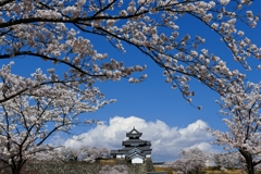 白河小峰城の春 ２