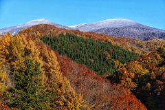 秋と冬の狭間に