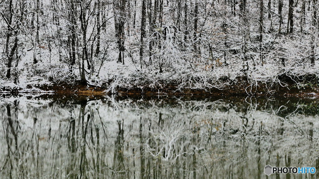 ついに冬が来た ２