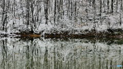 ついに冬が来た ２