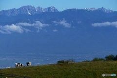 北アルプス槍穂高を望む３