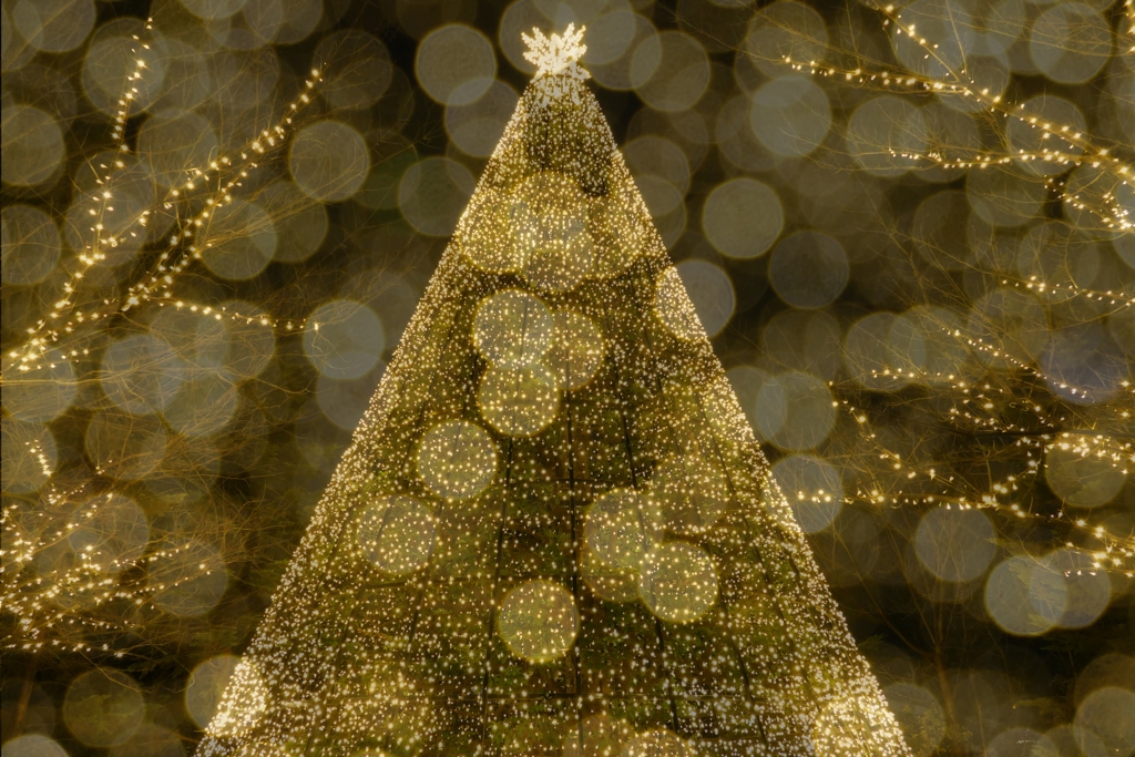 イルミネーション２