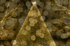 イルミネーション２