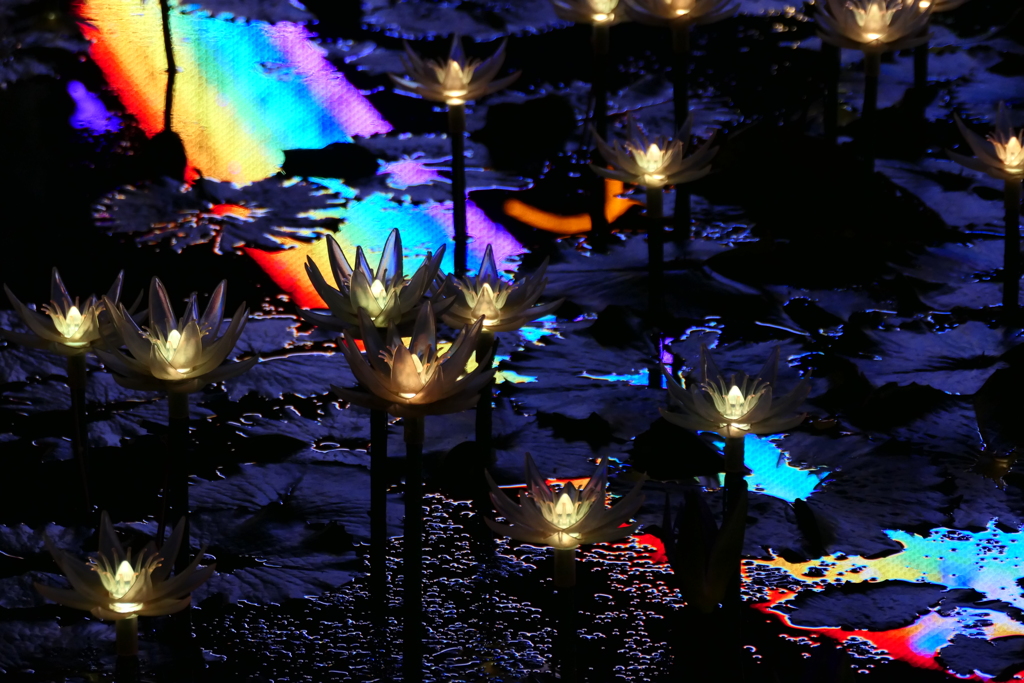 イルミネーション４