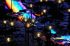 イルミネーション４