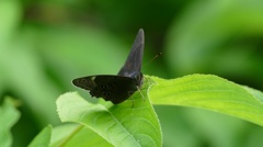 なんか格好いいな。。。