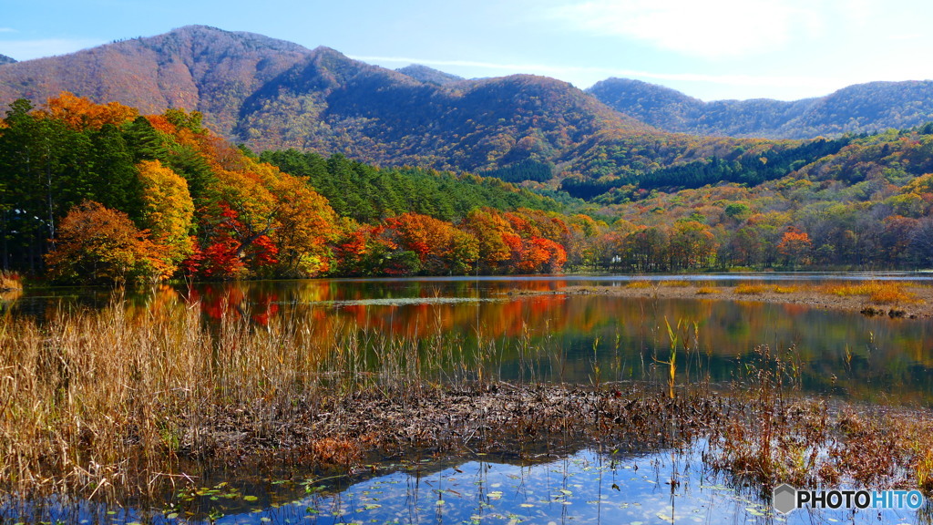 観音沼森林公園 １