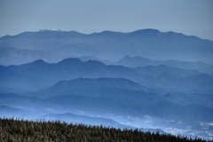 ブルードリーム