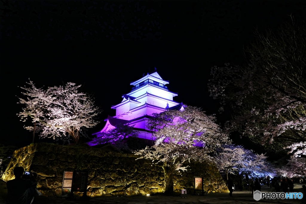 鶴ヶ城満開 その１