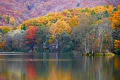 秋の曽原湖 ２