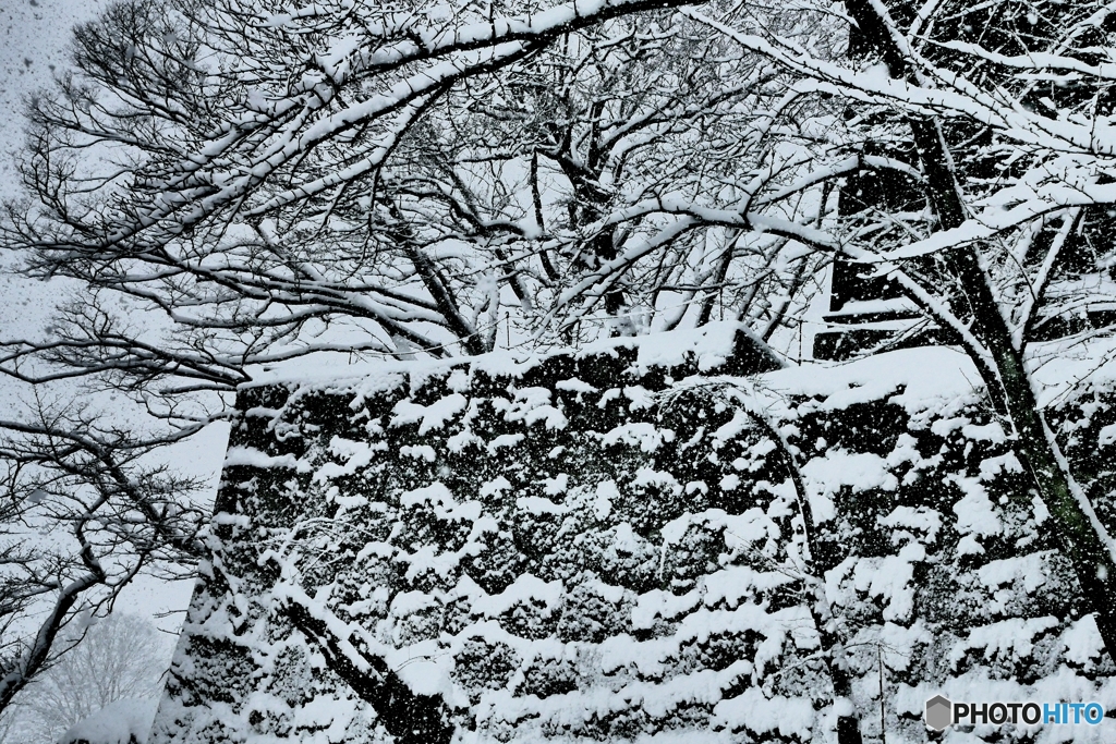 雪の鶴ヶ城３