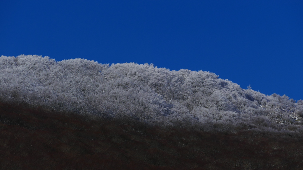 1180517 @御霊柩峠