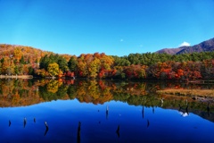 観音沼森林公園１