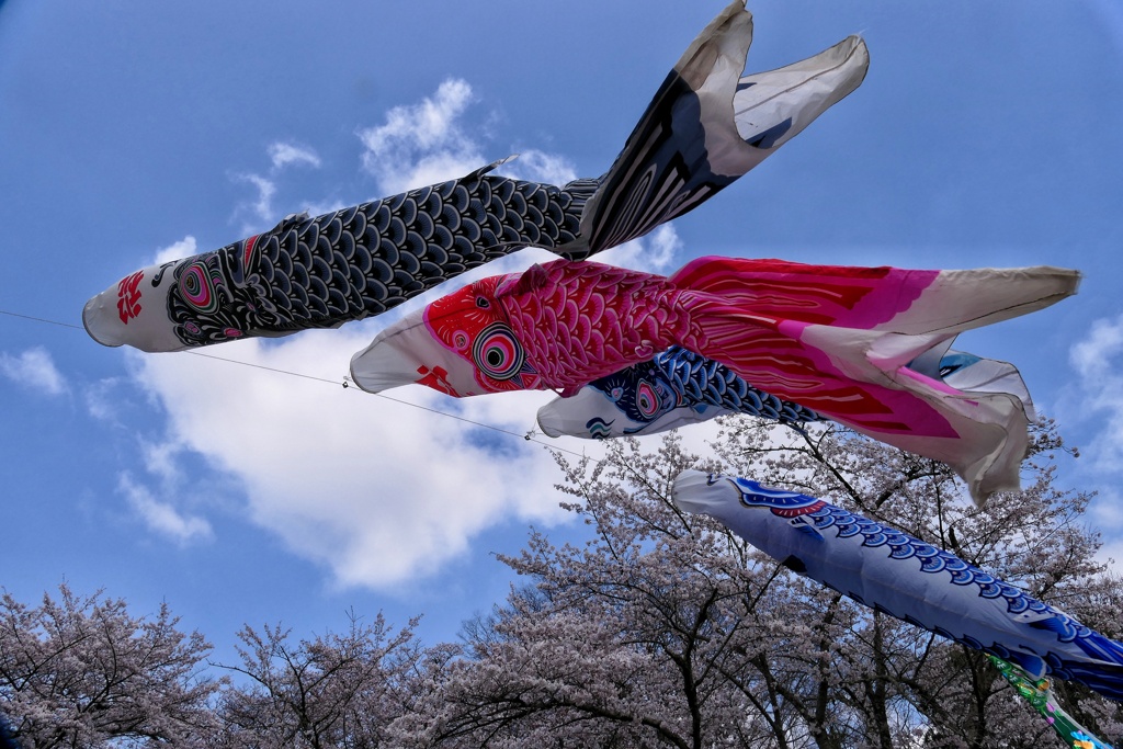 彼方へ
