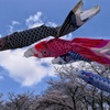 彼方へ