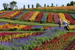 フラワーワールド2