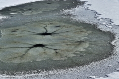 怨霊みたいな２