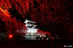 夜の小田原城７