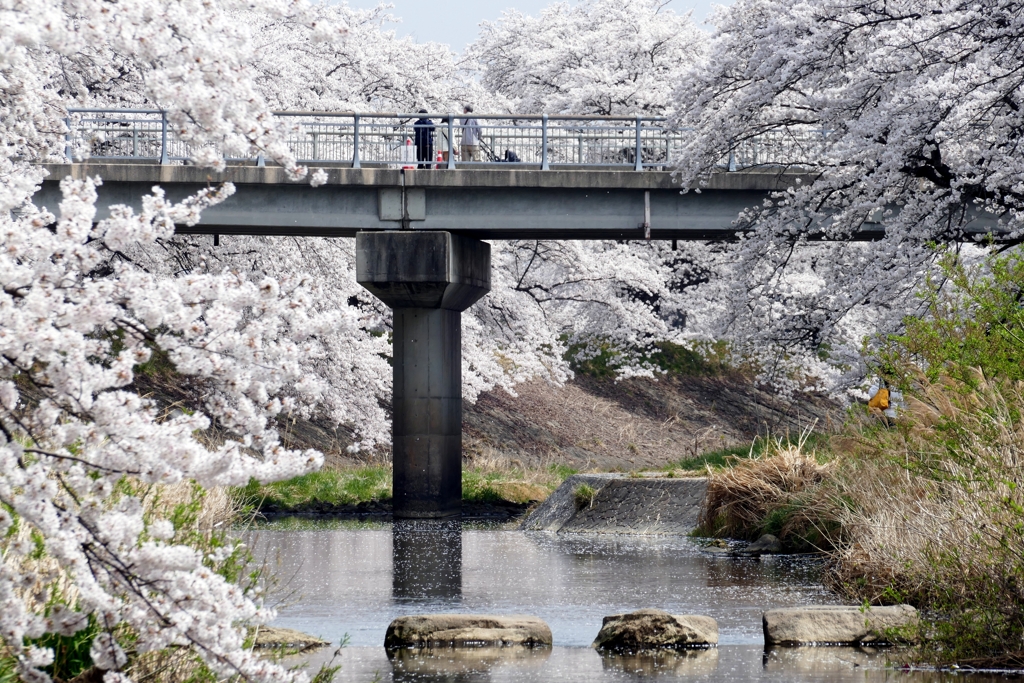 藤田川３