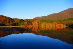 観音沼森林公園５