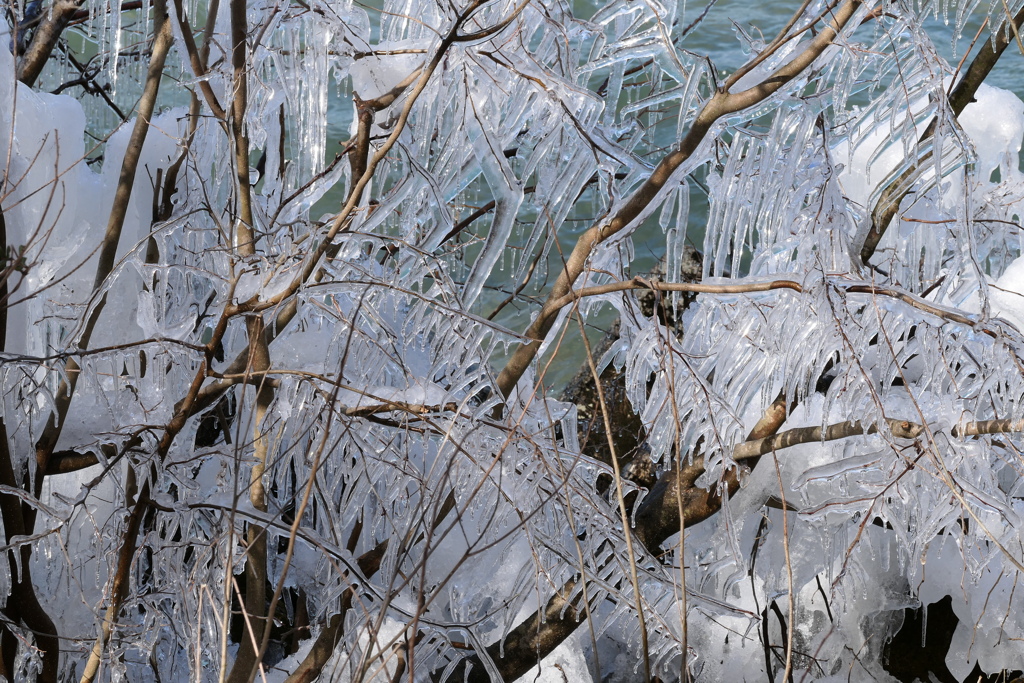 しぶき氷