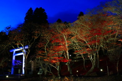 土津神社ライトアップ１