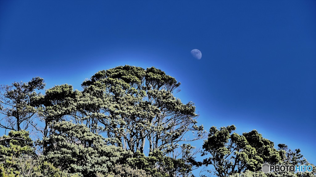 高戸小浜海岸４