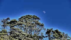 高戸小浜海岸４