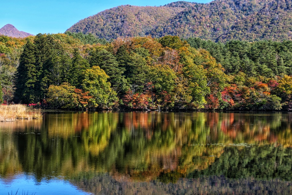 観音沼森林公園