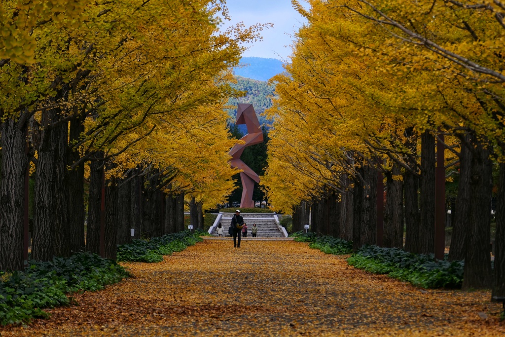 銀杏並木