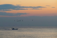 とある朝にて１