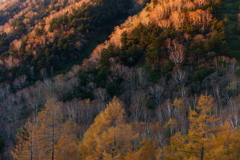 朝日を浴びて２