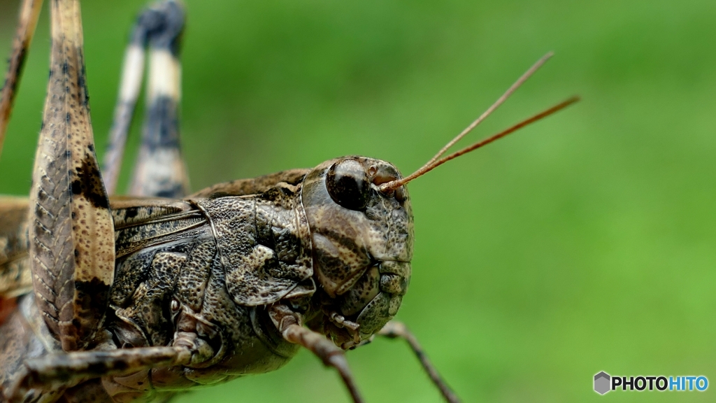 はらへったなー