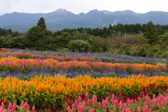 那須フラワーワールド