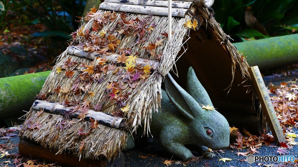 ＠鎌倉　明月院