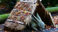 ＠鎌倉　明月院