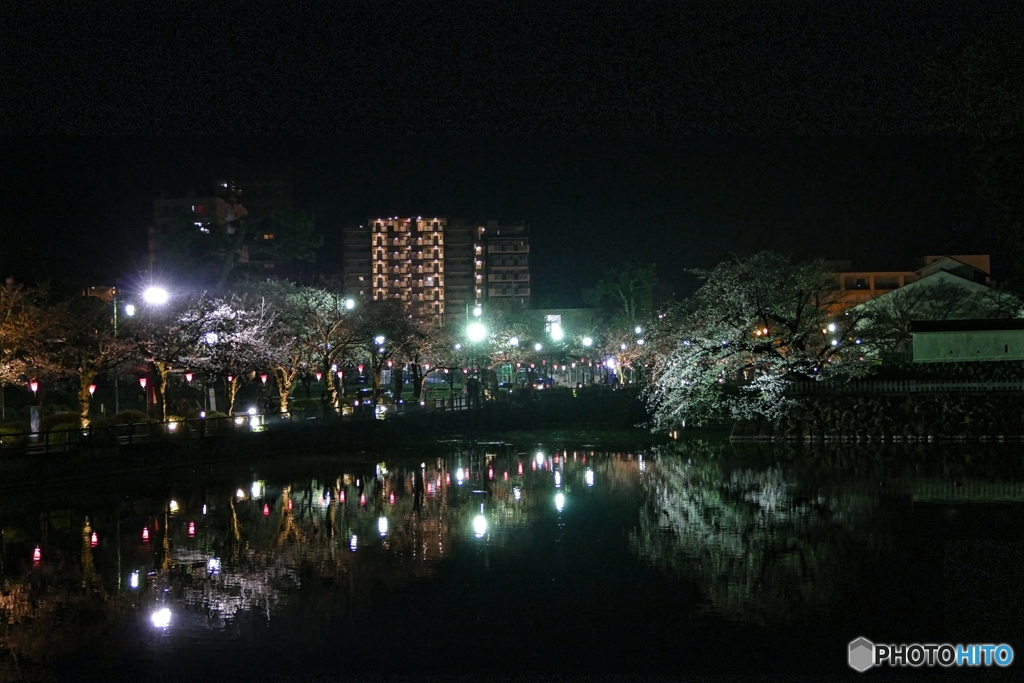 夜の小田原城４