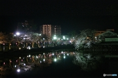 夜の小田原城４