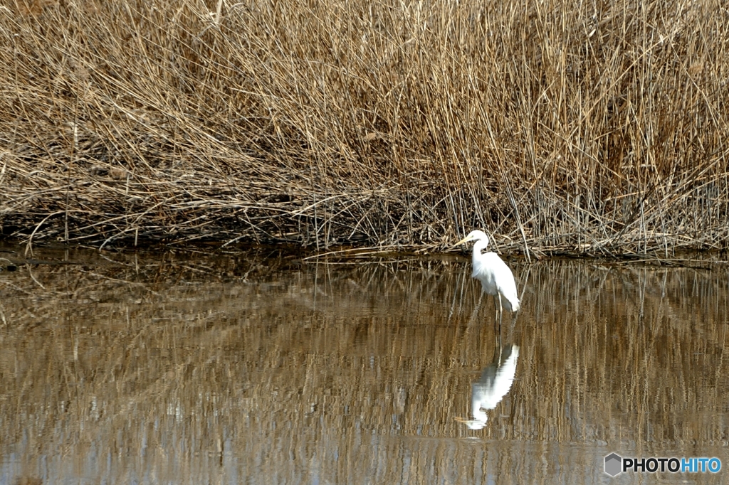 久しぶりに氷が溶けた