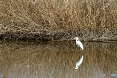 久しぶりに氷が溶けた